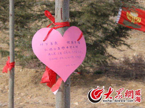 在活动现场,很多网友都在种好的树上挂上自己的心愿卡,以表达自己的